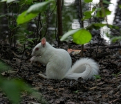 2016 06 11 WildLife MPLS 076